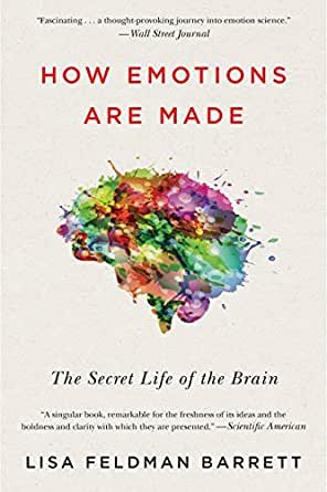 how emotions are made • The Most Toxic Excuse That We Tell Ourselves • Escape My Identity Crisis